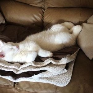 Meet your Posher, Lorraine